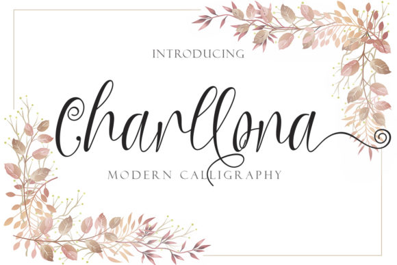Charllona Typeface Review for Campaign Design