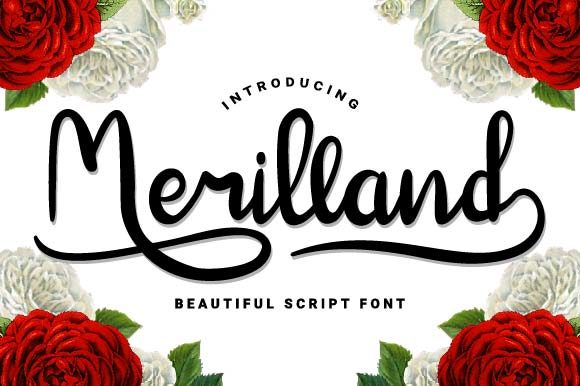 Merilland Typeface for Polished Branding