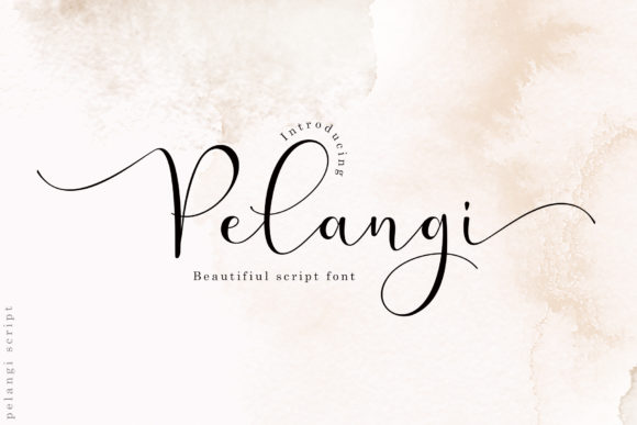 Pelangi Font: Elegant Script for Handmade Brands