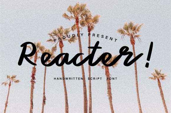 Reacter Font for Handmade Branding