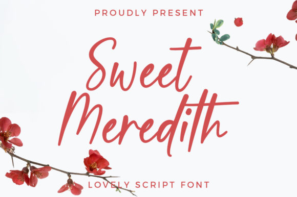 Sweet Meredith Font for Modern Campaign Design