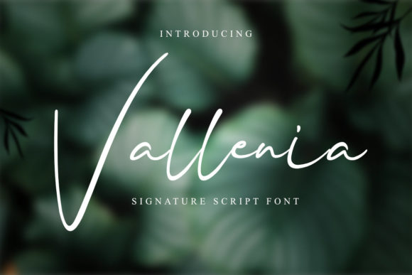 Vallenia: A Premium Script Font for Elegant Branding